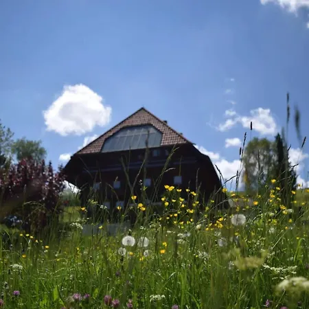 Haus Winterberg * Schonach im Schwarzwald